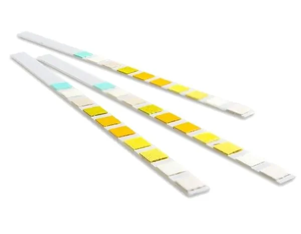 Urine Dip Test